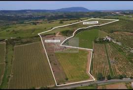 Land 9 hectares with approved project in Dois Portos | Torres Vedras