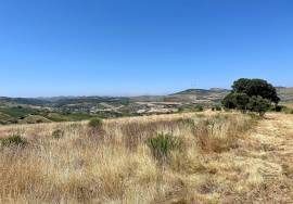Land 9 hectares with approved project in Dois Portos | Torres Vedras