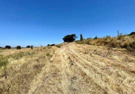 Land 9 hectares with approved project in Dois Portos | Torres Vedras