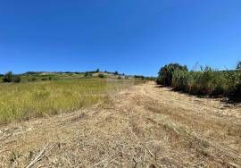 Land 9 hectares with approved project in Dois Portos | Torres Vedras