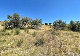 Land 9 hectares with approved project in Dois Portos | Torres Vedras