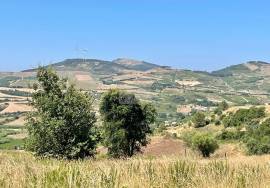 Land 9 hectares with approved project in Dois Portos | Torres Vedras