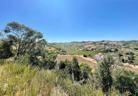 Land 9 hectares with approved project in Dois Portos | Torres Vedras