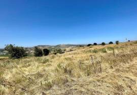 Land 9 hectares with approved project in Dois Portos | Torres Vedras