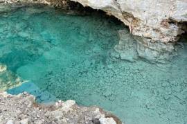 For Sale: Land With Cenote