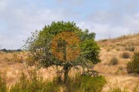 41,760 m2 LAND - WITH POSSIBILITY OF BUILDING AGRICULTURAL SUPPORT - PISA BARRO - IN CASTRO MARIM - ALGARVE
