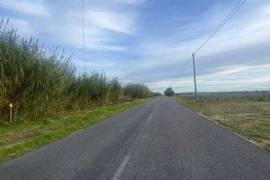 Terreno em Almeirim de 20120,00 m²