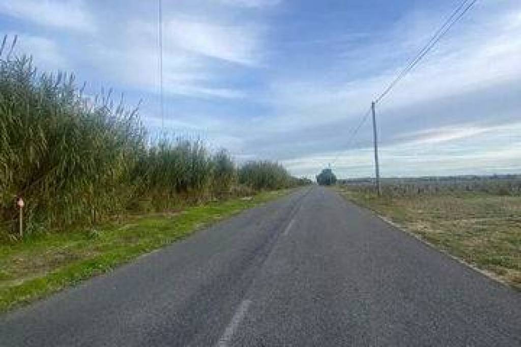 Terreno em Almeirim de 20120,00 m²