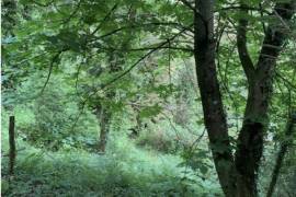 Wooden Chalet on Land Bordered by a River
