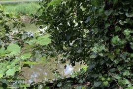 Wooden Chalet on Land Bordered by a River
