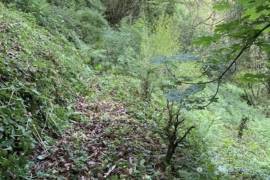 Wooden Chalet on Land Bordered by a River