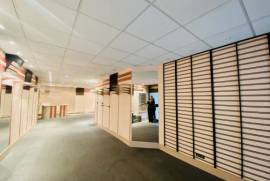 Three Apartments, Garden, Commercial Premises And Cellar