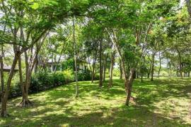 Rare Golf Front Estate Parcel: No HOA | 5,000m2 in Hacienda Pinilla