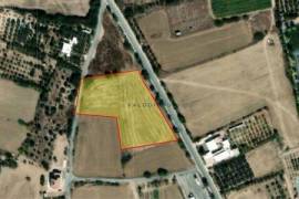 Field Within Special Protection Zone for sale in Zygi village, Larnaca