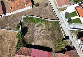 Building land
