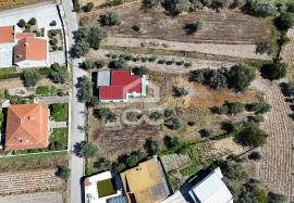 Building land