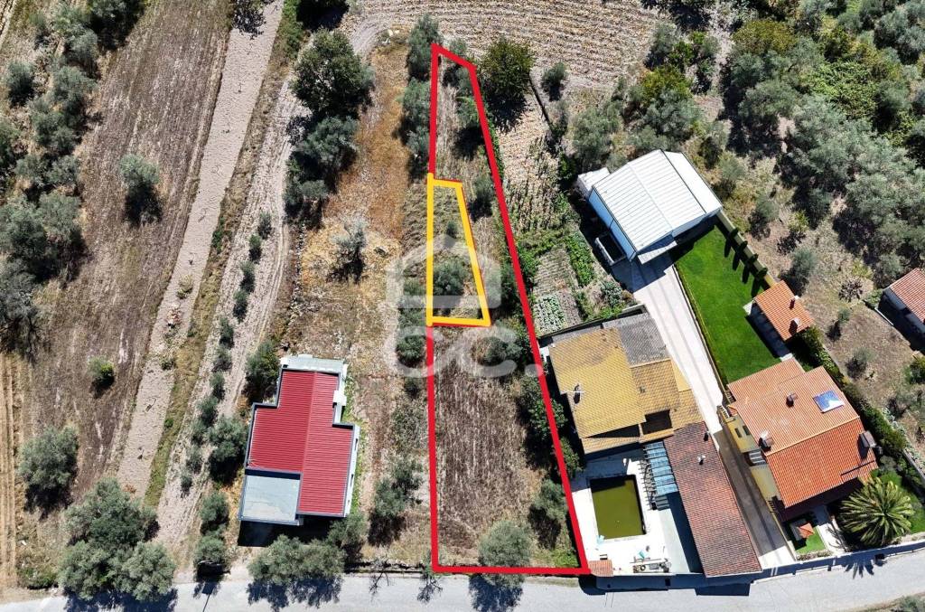Building land