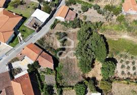 Building land