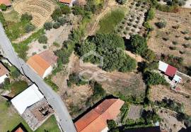 Building land