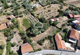 Building land