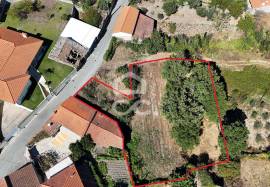 Building land