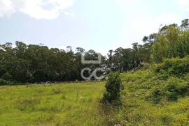 Rustic Land