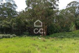 Rustic Land