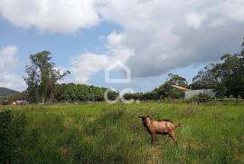 Rustic Land