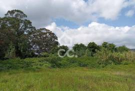 Rustic Land
