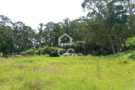 Rustic Land