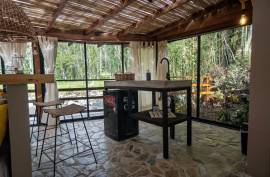 Casa de Río La Calamuchita Bed & Breakfast Villa For Sale in Pereira
