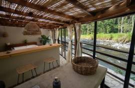 Casa de Río La Calamuchita Bed & Breakfast Villa For Sale in Pereira