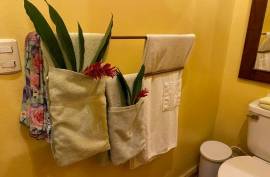 Caribbean Family Legacy Property Beach Resort For Sale in Trujillo