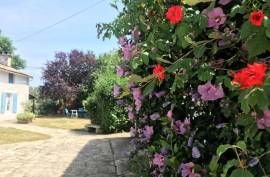 3 Bedroom house with 3 Gites For Sale In Caunay Sauzé-entre-Bois