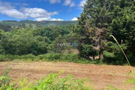 Magnificent plot of land with 5,000 m²