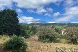 Magnificent plot of land with 5,000 m²