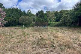 Magnificent plot of land with 5,000 m²