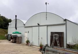 FARM AND LAND FOR SALE
