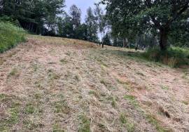 FARM AND LAND FOR SALE