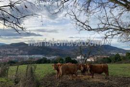 Farmhouse with license for 4 homes and 5 ha of land to rehabilitate.