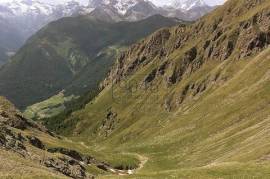 Unique: Alpine pasture and forest property with potential hunting opportunities on the Brenner Pass - South Tyrol
