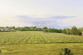 Secret Sale: charming restored 18th century estate with residential units - Lake Garda