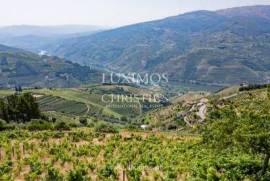 Quinta vinícola para venda em Mesão Frio no Douro Valley