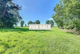 Property For Sale