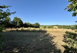 Charmant ensemble immobilier comprenant une grange et des dependances.
