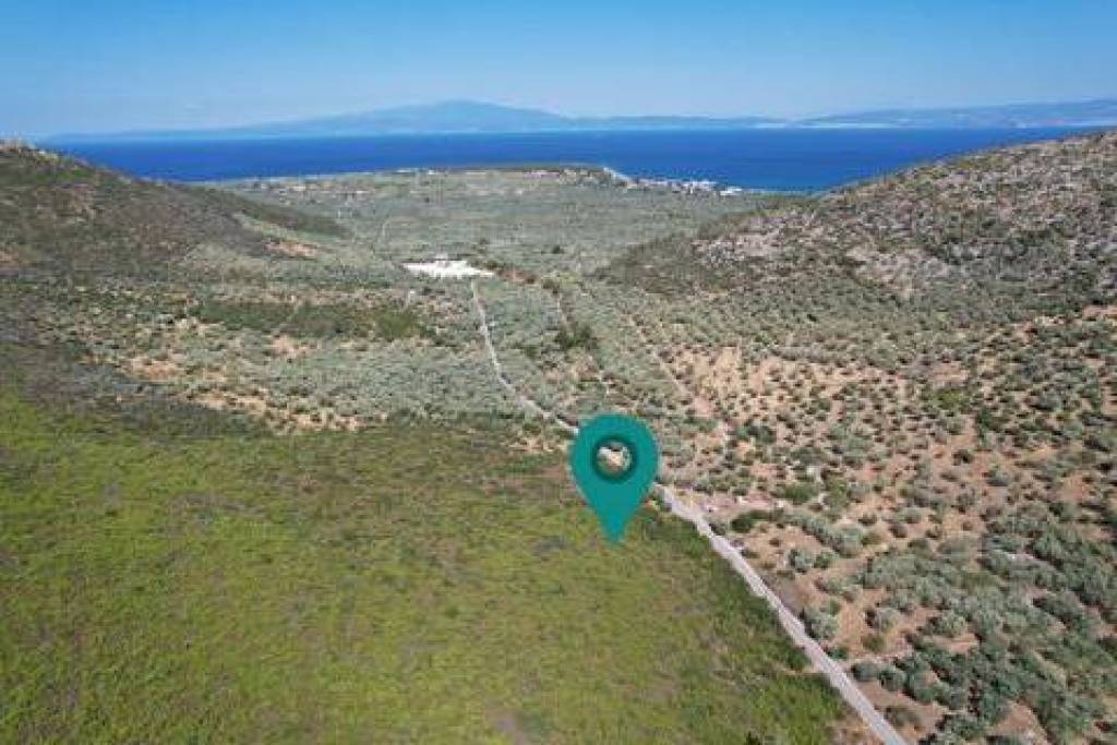 Agricultural 7240 sq.m.