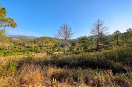 Self-Sustainable  Farmstead  12.7 Hectares with river  Stream – Organic Agriculture & Natural Resources