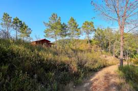 Self-Sustainable  Farmstead  12.7 Hectares with river  Stream – Organic Agriculture & Natural Resources