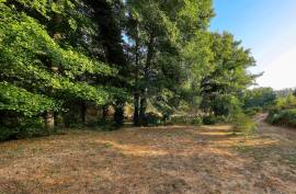 Self-Sustainable  Farmstead  12.7 Hectares with river  Stream – Organic Agriculture & Natural Resources