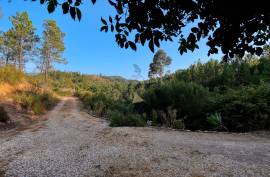 Self-Sustainable  Farmstead  12.7 Hectares with river  Stream – Organic Agriculture & Natural Resources
